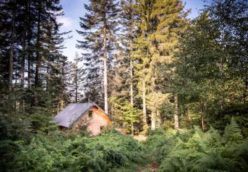 Village Huttopia Forêt des Vosges