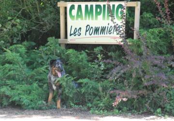 Camping Les Pommiers Pays d'Auge