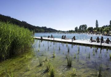 Le Lac des Sapins