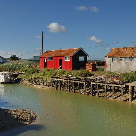 Geant casino ile d oleron